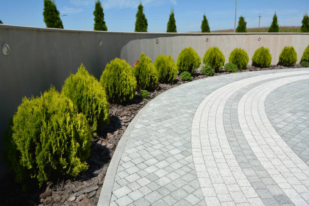 Best Interlocking Driveway Pavers  in Royal Palm Estates, FL